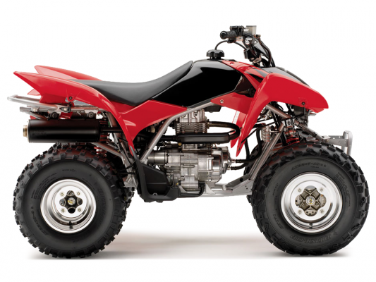 Фото квадроцикла Honda TRX250X